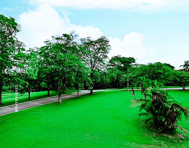 Vibescape venue photo 2